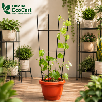 Plant Support