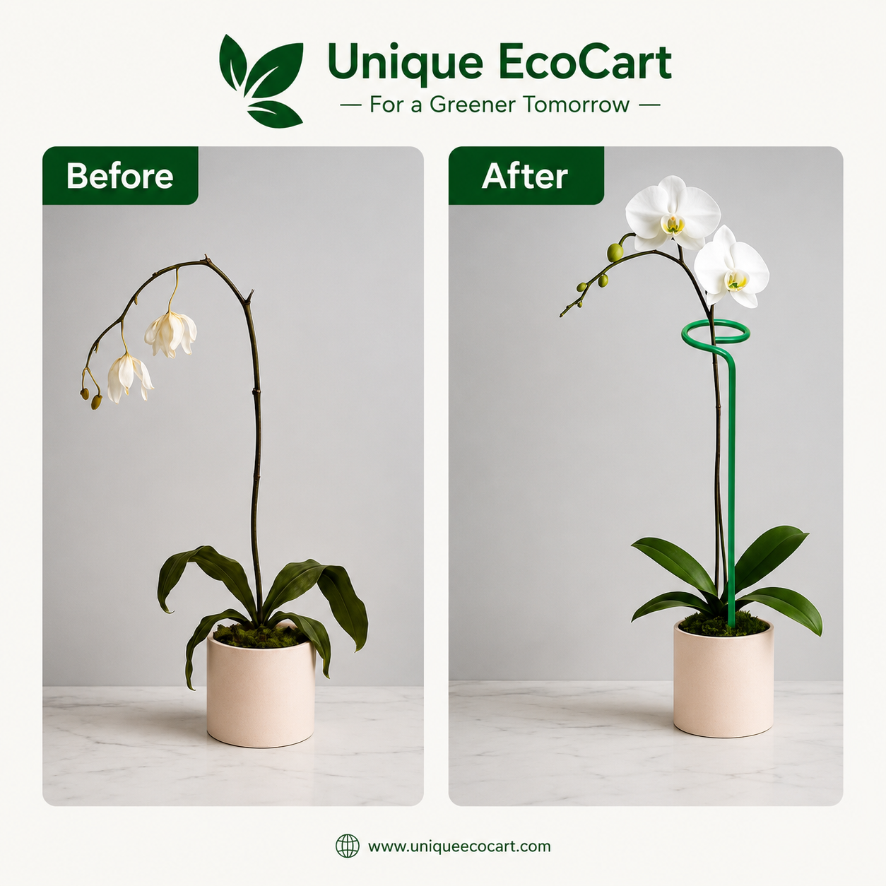 Unique EcoCart Heavy Duty Iron Plant Support Stakes | Rust Resistant Green Orchid & Plant Stem Support | Garden Plant Stakes | Pack of 5 & Pack of 10